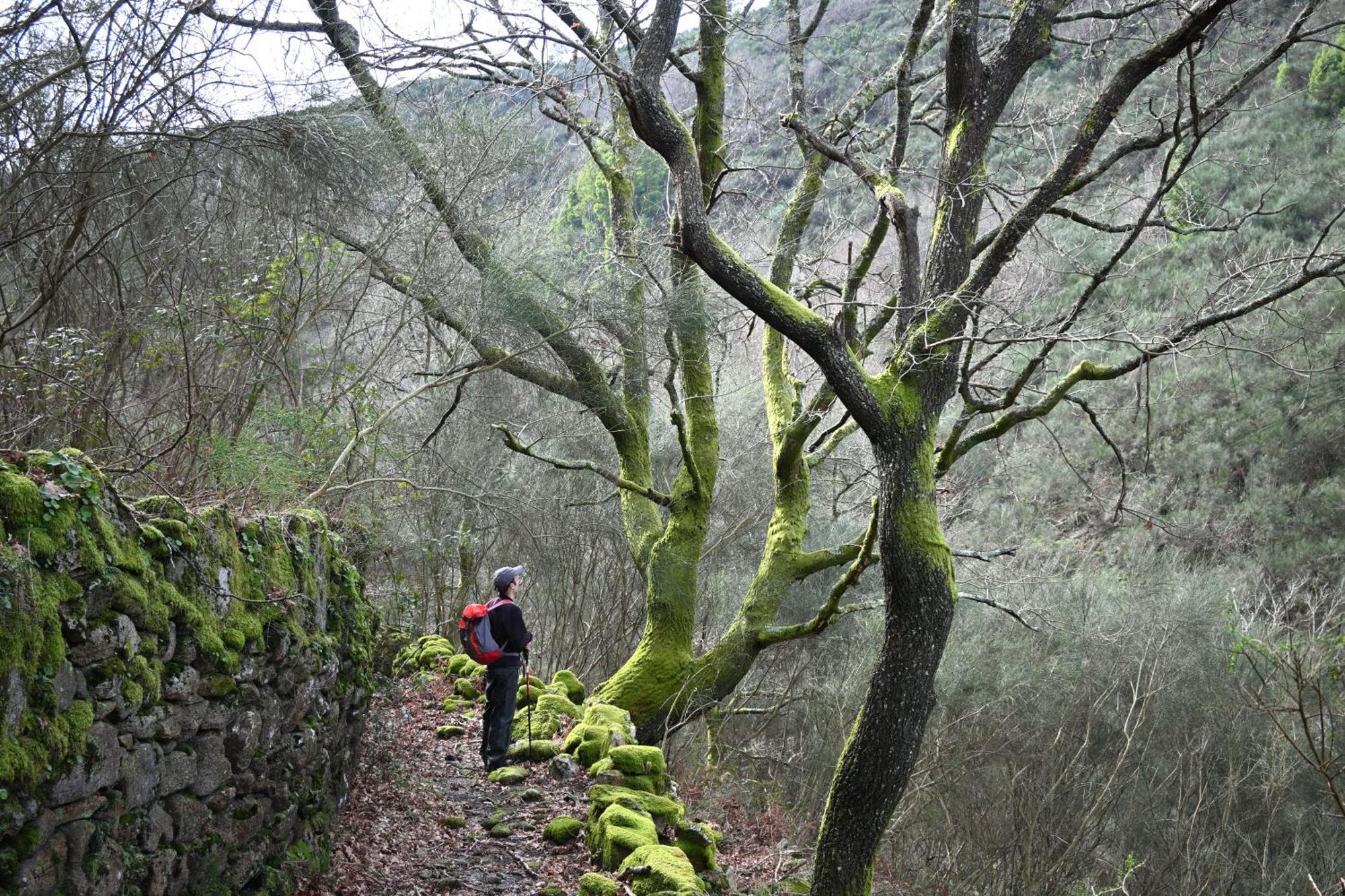 Quinta Ecologica Da Peneda Agroturismo By Peneda Ecofarm アルコス・デ・ヴァルデヴェス エクステリア 写真